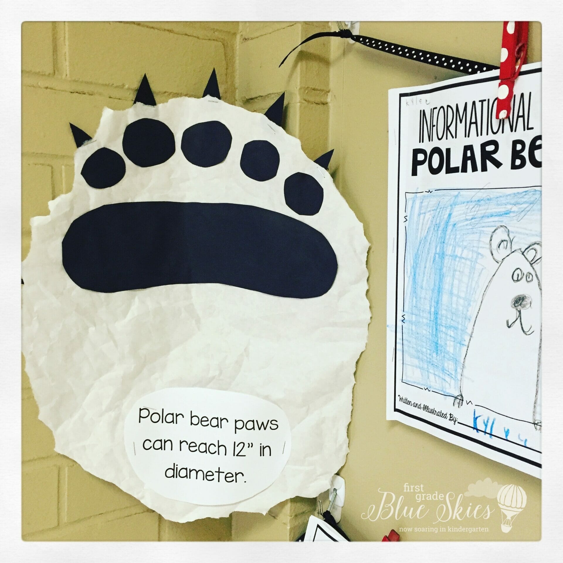 polar bear paw activity