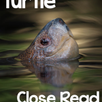 Turtle Close Read FREEBIE