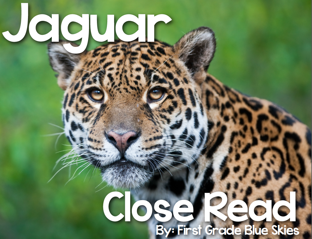 Jaguar Close Read {Giveaway}