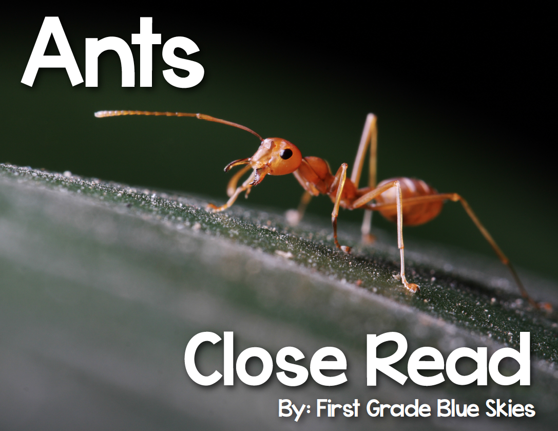 Ants Close Read {Giveaway}