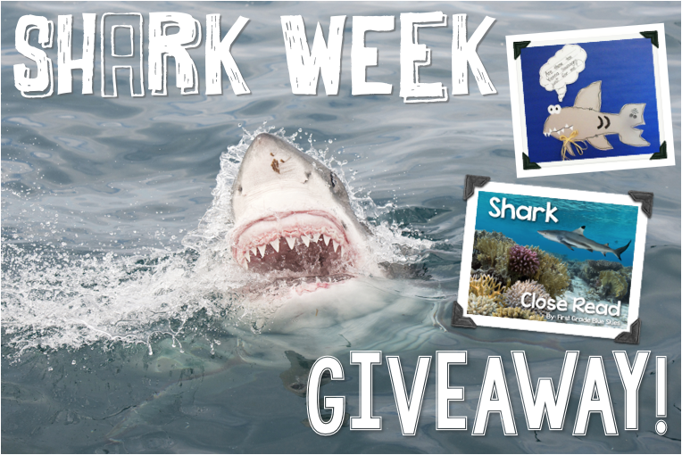 Shark Week Glyph and Close Read {Giveaway}