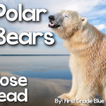 Polar Bear Close Read  New Year FREEBIE