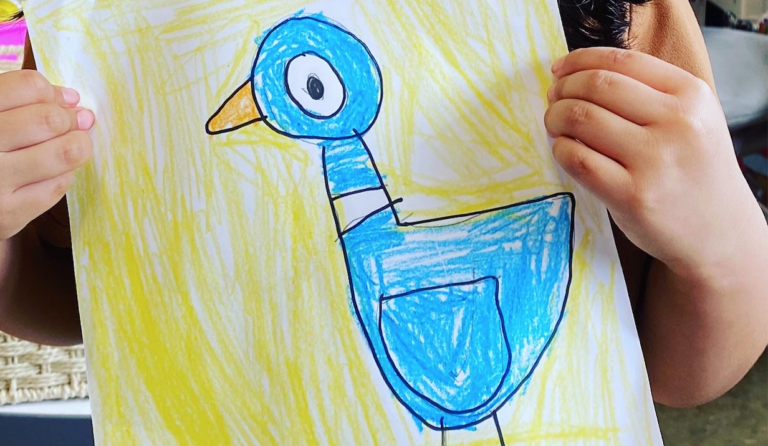 Pigeon Directed Drawing